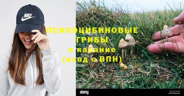 винт Армянск