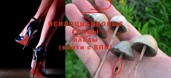винт Армянск
