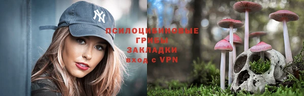 марки nbome Аркадак