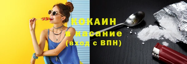 винт Армянск