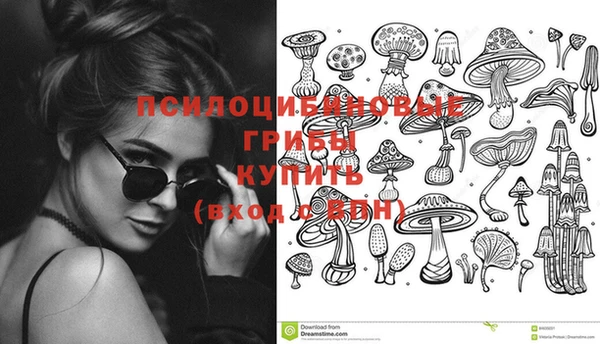 винт Арсеньев