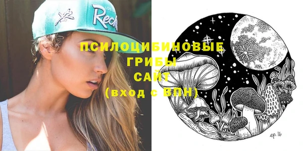 винт Армянск