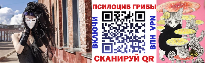 Псилоцибиновые грибы Psilocybe  Купить закладки  Мышкин 